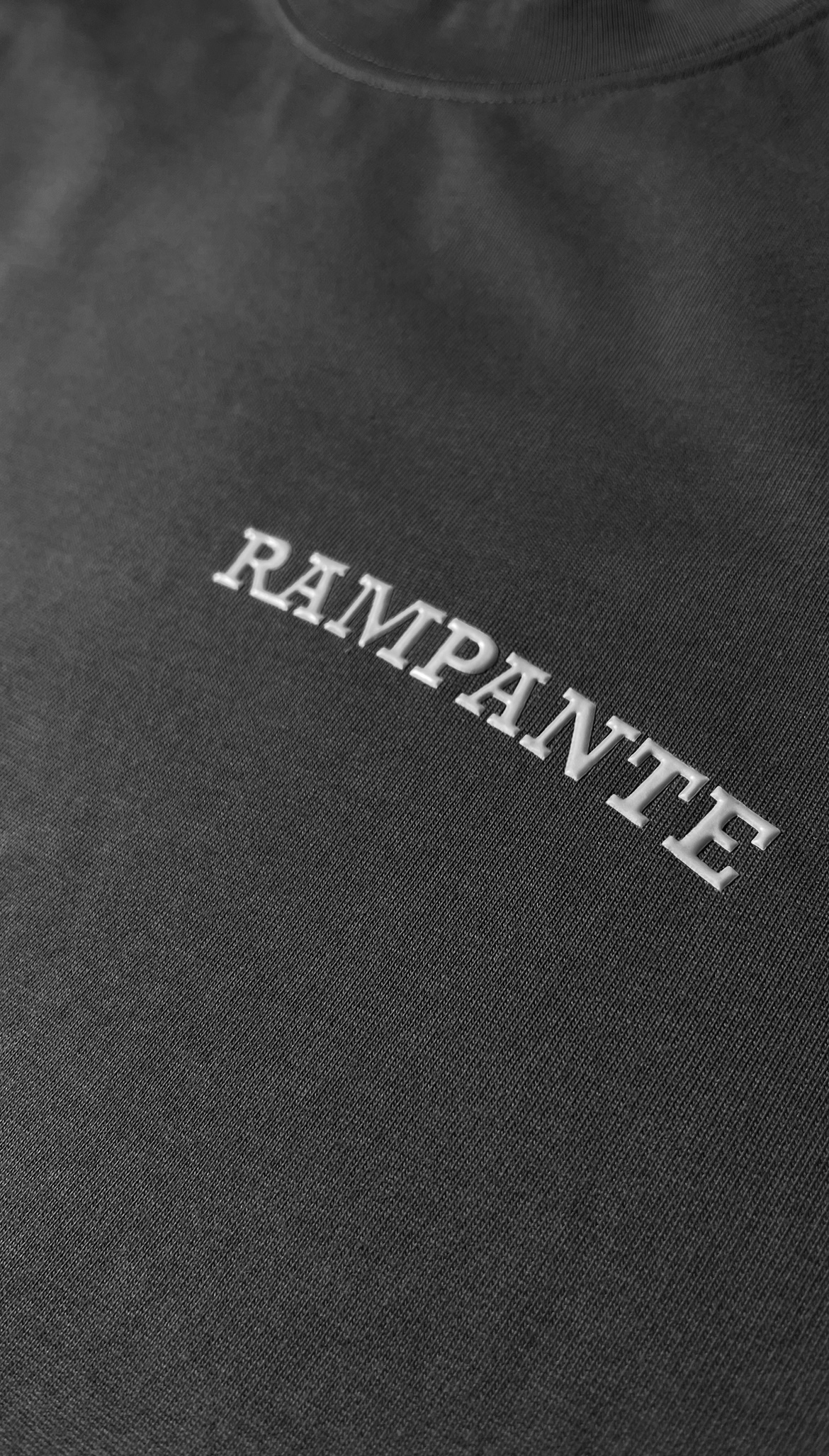 T-SHIRT DARK GREY (BASICS) Vista Alterna