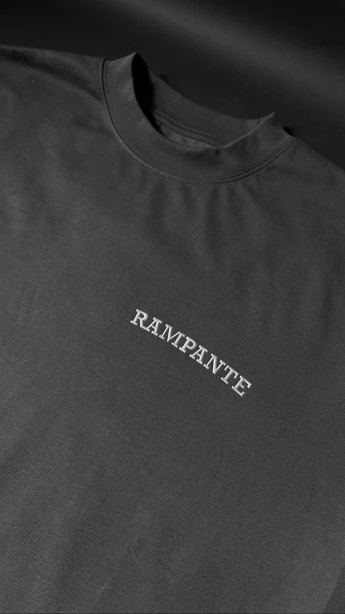 T-SHIRT DARK GREY (BASICS) - Vista 3